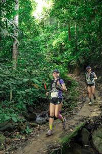 BIB: 653
                            <button type="button" onclick="openModal(24805465)" class="btn btn-primary btn-sm float-right btn-popup" data-toggle="modal" data-target=".modal-high-quality">
                        <i class="fas fa-shopping-cart"></i> Add to Cart
                    </button>
                                            <button type="button" onclick="isThisMe(24805465, true)" class="btn btn-success btn-sm float-right btn-popup btn-isme hidden" data-toggle="tooltip" data-placement="bottom" title="นี่คือรูปของคุณใช่ไหม คลิกที่นี่เพื่อเอาเข้าอัลบั้ม">
                        <i class="fas fa-plus"></i> Add to album
                    </button>
                    <button type="button" onclick="isThisMe(24805465, false)" class="btn btn-warning btn-sm float-right btn-popup btn-isnotme hidden">
                        <i class="fas fa-ban"></i> Remove from album
                    </button>